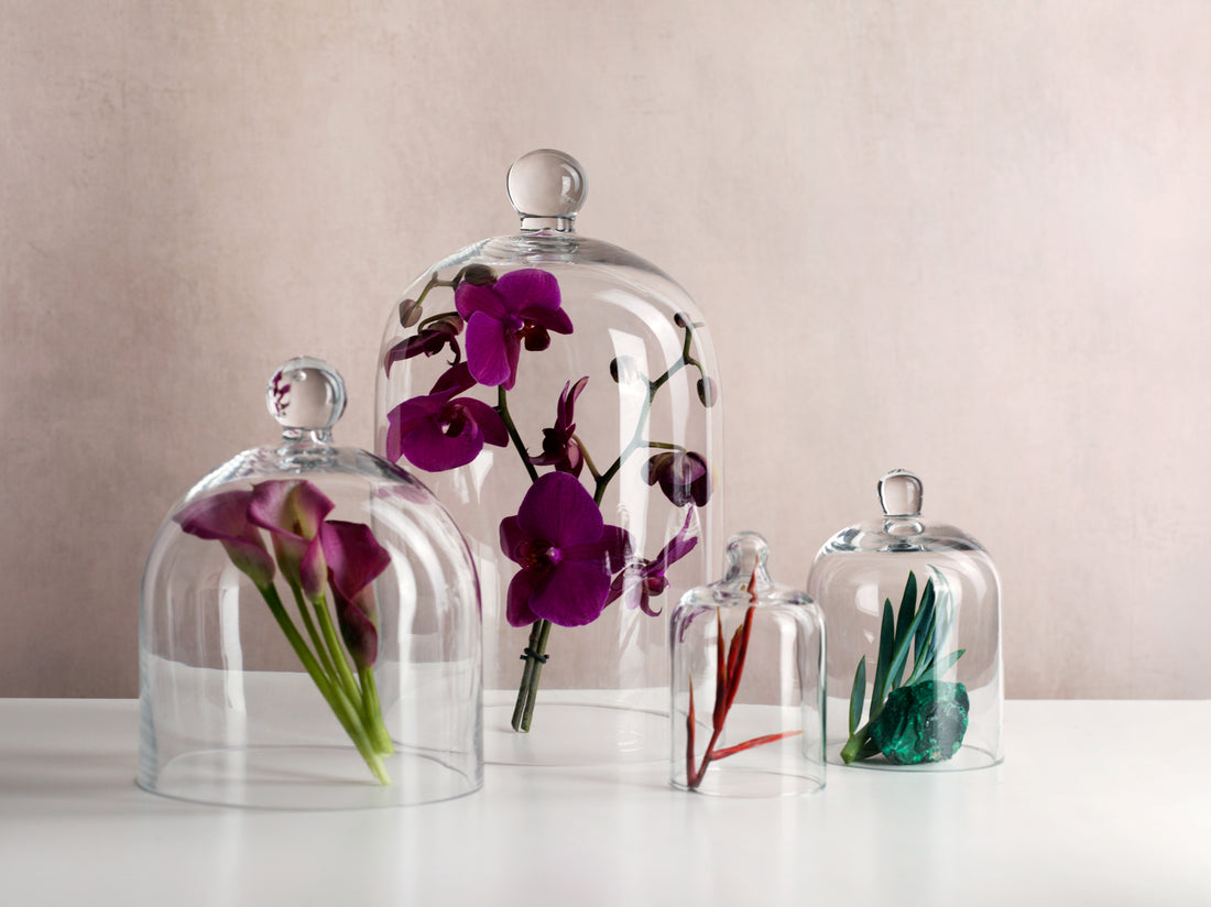 Buy Wholesale Glass Cloches Hand Blown In The UK. Visit Our Store